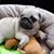 Janet R Doyle's profile image