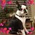 Patty Alston Lapinski's profile image