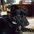 Tammy M Zacherl's profile image