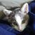Debbie Gardner's profile image