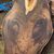Firewater Farm S.'s profile image