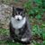 Ellen Louer's profile image