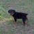 Lilly Hughes's profile image