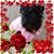 Jeanie Schohn's profile image