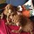 Diane Hennessy's profile image