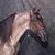 Denise Rowland's profile image