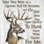 Gary Schlief's profile image