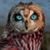 Bryan Sullivan's profile image