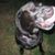 Boyer Ashley's profile image