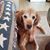 Cindy L Krueger's profile image