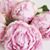 Ange Clancy Sukala's profile image