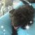 Marion A Pella's profile image