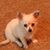 Linda Rice Gentry's profile image