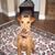 Nancy J Hatcher's profile image