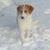 Lyle Ralston's profile image