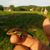 Cristian Omar Galvan's profile image