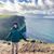 Christopher Simonetti's profile image