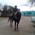 Gera Jimenez de Casas's profile image