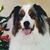 Sally Ann Gladden's profile image