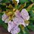Karen Barger's profile image
