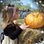 Amber Conway's profile image