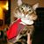 Benjamin Evan Walker's profile image