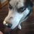Stephen Eickhorst's profile image