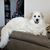 Hope Nickerson Walatka's profile image
