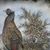 Lerato Monyai's profile image