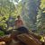 Mindy Graeser's profile image