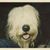 Forrest Preece's profile image
