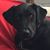Christy Phillips's profile image