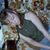 Alethea Lee Kelly's profile image