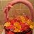 Karen Barnes's profile image