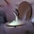 Peter J. Anderson's profile image