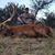 Aaron Coats's profile image