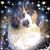 Lisa Schmiedl's profile image