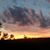 Laura Franceschini's profile image
