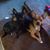 Mary Anne Eldredge Sirois's profile image