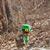 Theresa Schafer Johnson's profile image
