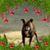 Jim Weber's profile image