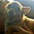 Joyce Gibson Hatfield's profile image
