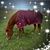 Michelle Barnes's profile image