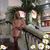 Dana Millikin's profile image