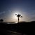 Greg S Eikenberry's profile image