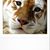 Janet Coyner's profile image