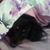 Dianne Rosky's profile image