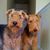 Tanya Tvrdik's profile image