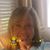 Louanne Lassiter's profile image