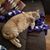 Jerry Clark's profile image